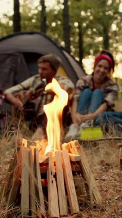 Group of Friends Playing Guitar and Sitting Near a Fire While Camping in the Forest
