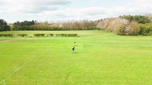 Adult male, family pet canines, slow motion, sunshine, grassy park, aerial