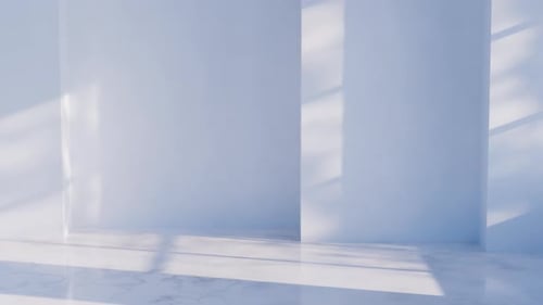 Sunny white room or studio. 3d render, realistic design. Foliage leaf shadow, sunlight