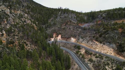 Aerial View of Winding Mountain Roads and Pine Forests