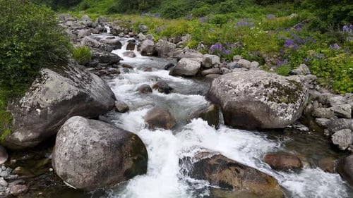 River Flowing Among Wildflowers