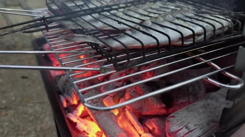 Cooking Fishes On A Barbecue Fire 2