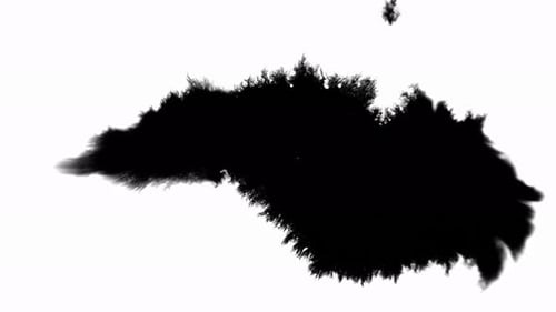 Ink Blot Big Drop