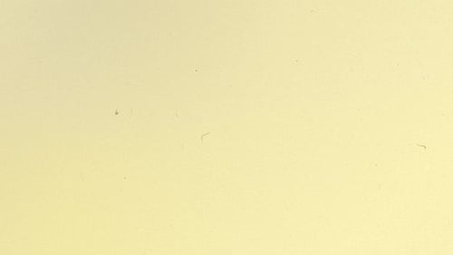 Canvas Collection: A peach color background with vintage film rolling effect