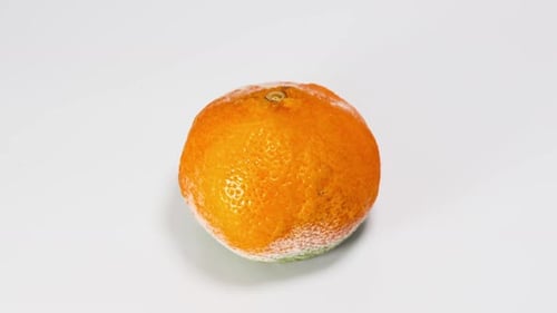 Timelapse de tangerina podre 2K