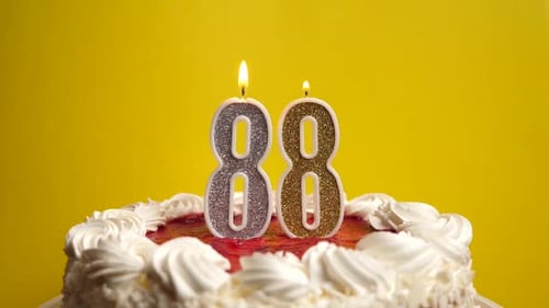 88. A candle in the form of the number 88, stuck in a holiday cake, is blown out. Celebrating a birt