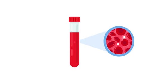 Test Tube with Magnified Blood Cells Animation