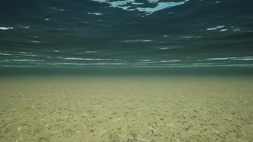 Underwater Ocean Waves Ripple And Flow With Light Rays. 4K