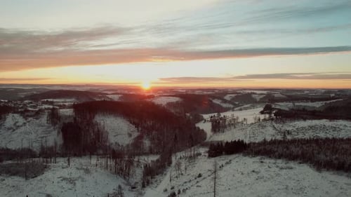Snowy Forest during Sunset
