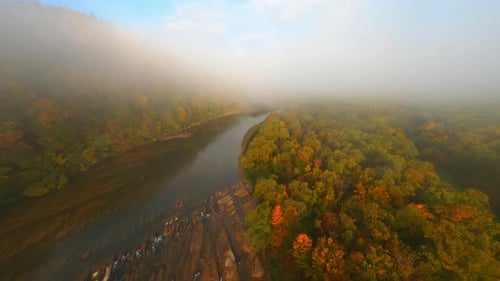 Aerial Stunning Drone Flight in Cinematic Autumn Environment Wild Forest Landscape and Long River