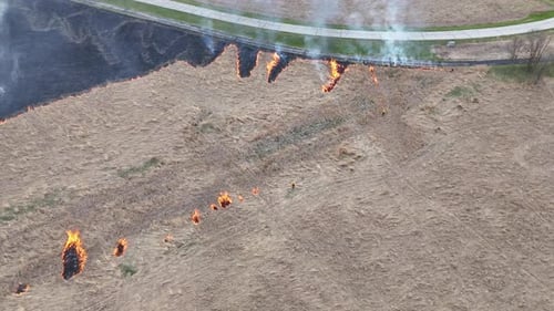 Brave Fire Fighting