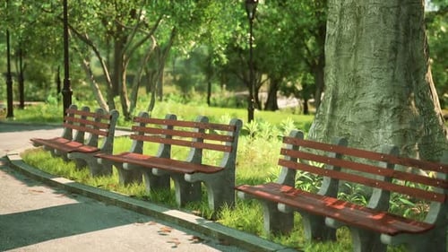 Benches Lining a Peaceful Park Pathway Surrounded By Lush Greenery
