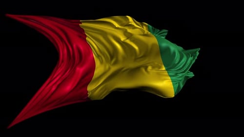 Realistic Waving Flag of Guinea Loop