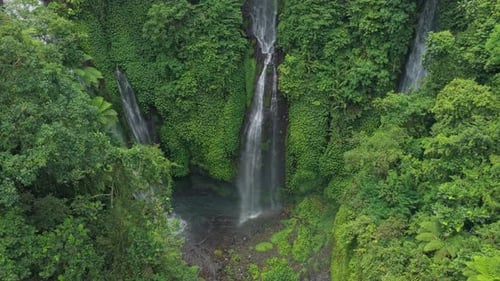 Scenic sekumpul waterfall in bali indonesia jungle