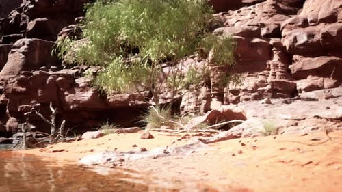 The Reflection of the Mountains in the River