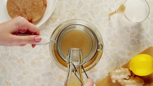 Thé Kombucha Scoby Fungus, boisson fermentée au kombucha faite maison, bactéries et levures