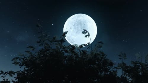 Full Moon Night Sky with Animated Trees Landscape