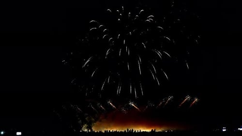Spectacular Fireworks Exploding in Night Sky