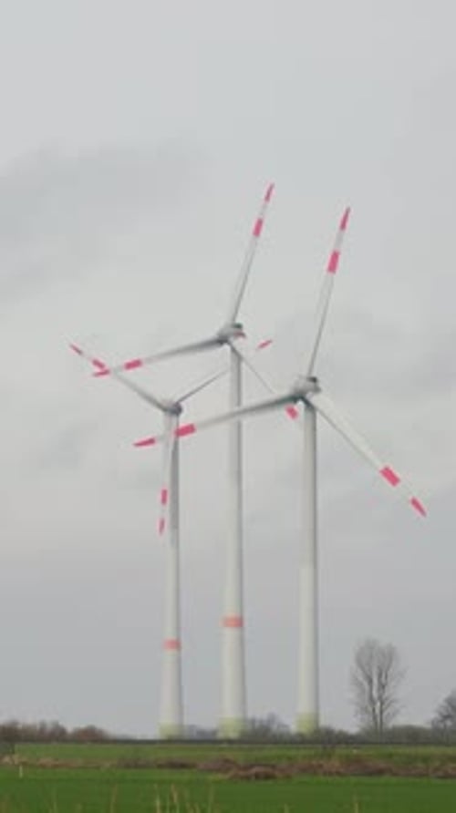 Wind Turbines Rotating in a Green Rural Landscape