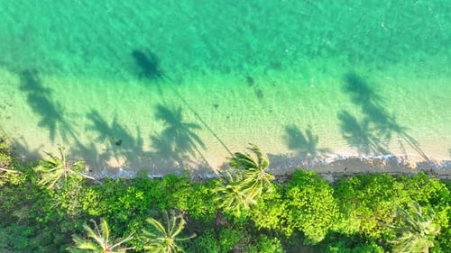Vue aérienne : mer cristalline, ciel ensoleillé, plage de sable, cocotiers ondulants.