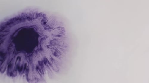 Ink Splatter Pigment Spill Blotch Spatter Spread