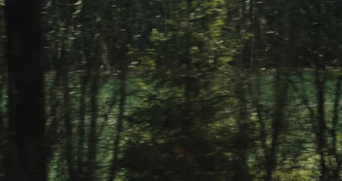 Radfahrer fahren Gravel in Woods Story