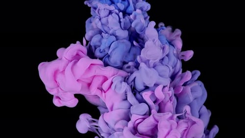 Pink and Blue Color Plumes on Black
