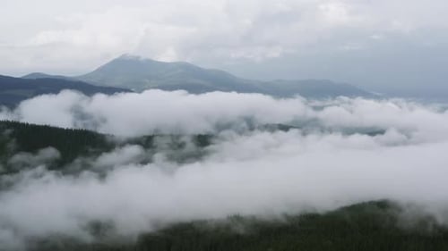 Aerial view of foggy majestic Carpathian Mountains. Beautiful landscape of untouched nature