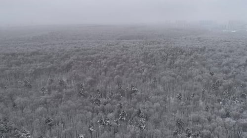 Winter frozen forest aerial drone view frost covered trees foggy city skyline