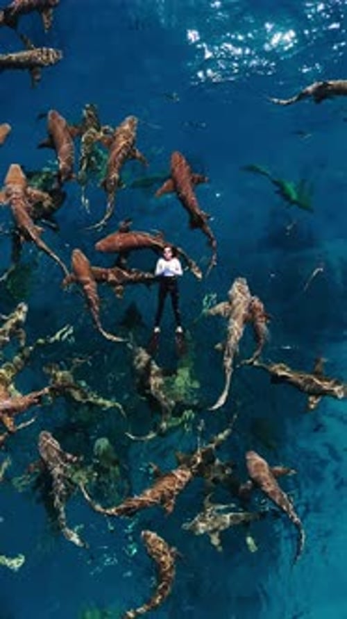 Woman Surrounded by Sharks in Clear Ocean Water