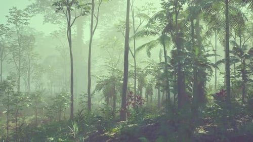 Densely Populated Green Forest