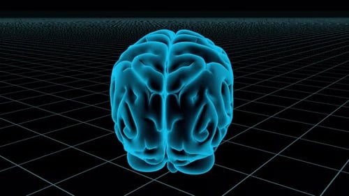 3D Blue Brain Hologram Rotating on Grid Background