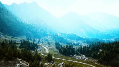 Winding Road in the Mountains with Pine Forest