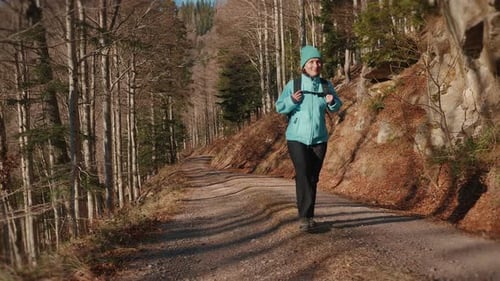 Young woman hiking in forest at autumn, enjoying sunny fall day outdoors