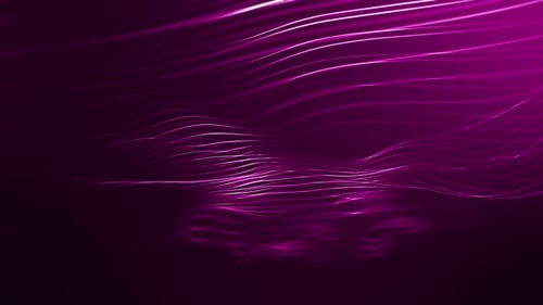 Glowing Pink Particle Waves in Fluid Abstract Motion