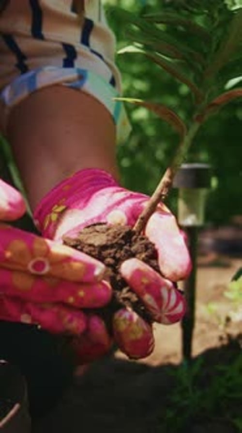A Gardener's Touch Planting and Nurturing Greenery with Care and Colorful Gloves in a Backyard Oasis