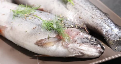 Salz auf rohen Forellenfisch mit Gewürzen und Dill auf schwarzem Tisch streuen, Nahaufnahme