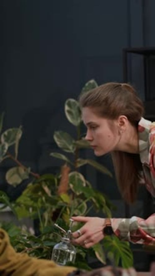 Woman Watering Plants while Colleague Working at Office