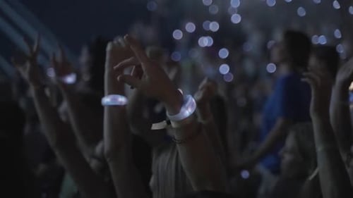 Enthusiastic Crowd Cheering at a Live Event