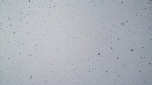 Schnee fällt vom bewölkten Himmel, die Kamera schießt zum Himmel.