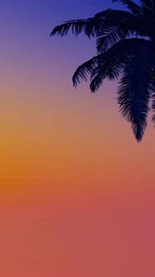 Palm Fronds Silhouette Against Sunset Gradient Seamless Loop