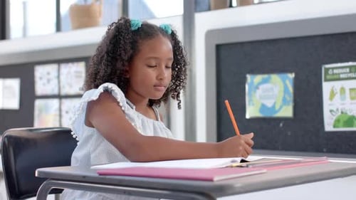 Biracial girl smiles while studying at school in the classroom, with copy space