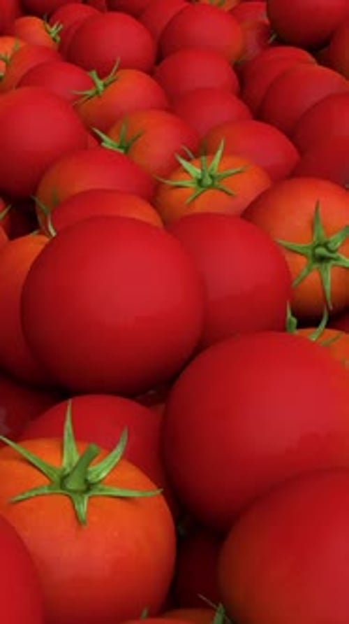 Flying Over Endless Tomatoes Pile Loop