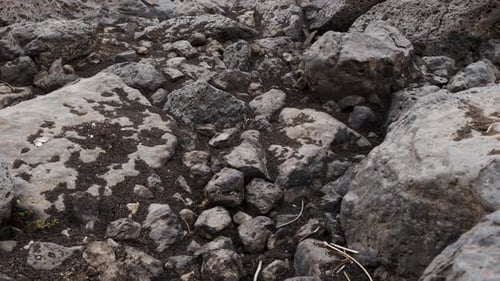 view of a dry rock formation between parched earth. close-up