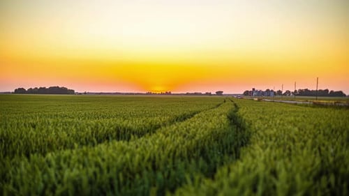 Golden sunset timelapse at a agricultural field at dusk