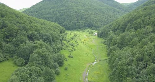 Borov Kamak, Vratsa, Bulgarie, ruisseau dans la forêt