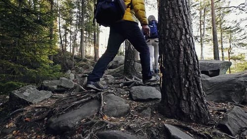 Stylish Travelers Climbing Rocks in Forest