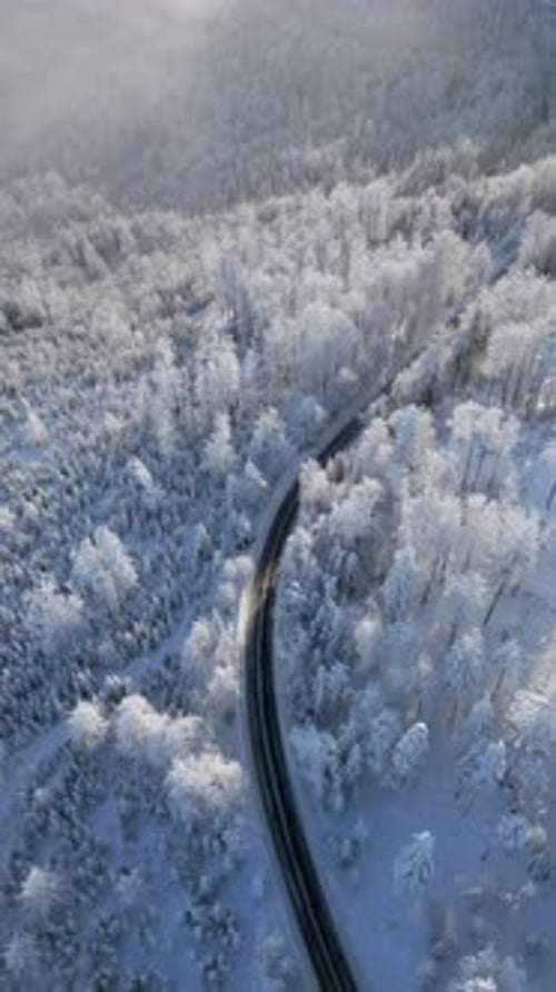 Aerial View of Scenic Road Winding Through a Snowy Winter Mountain Forest