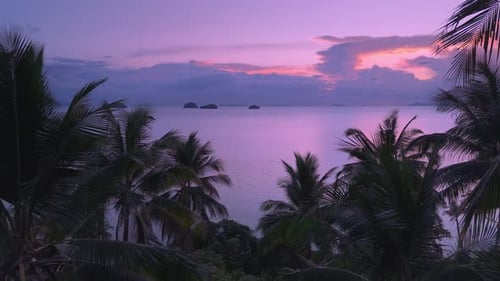 Fantastisches Konzept für tropisches Paradies und Gelassenheit mit Palmen vor leuchtendem Rosa