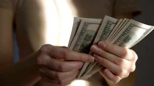 Woman Counting United States Currency Indoors